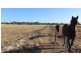 North Boyanup WA 6237