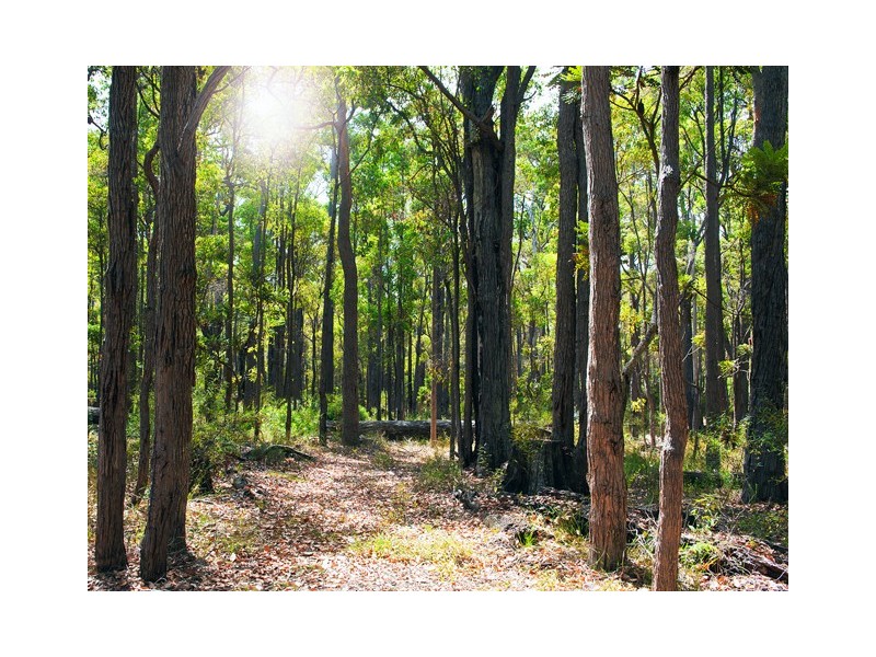 12 Tamarix Crescent, Margaret River WA 6285