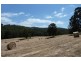 Dardanup WA 6236
