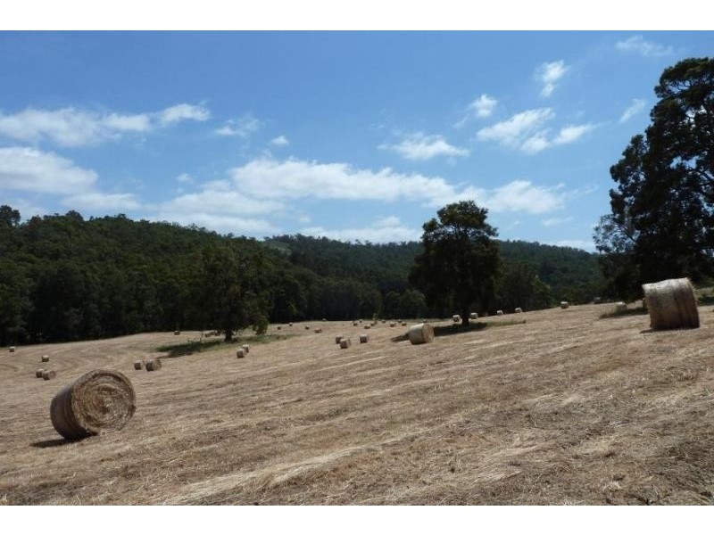 Dardanup WA 6236
