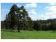 Dardanup WA 6236