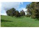Dardanup WA 6236