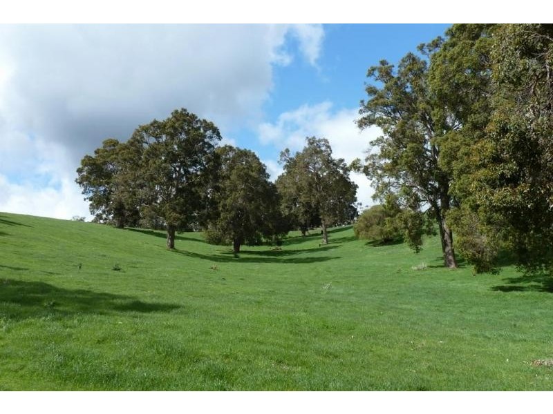 Dardanup WA 6236