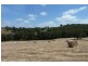 Dardanup WA 6236