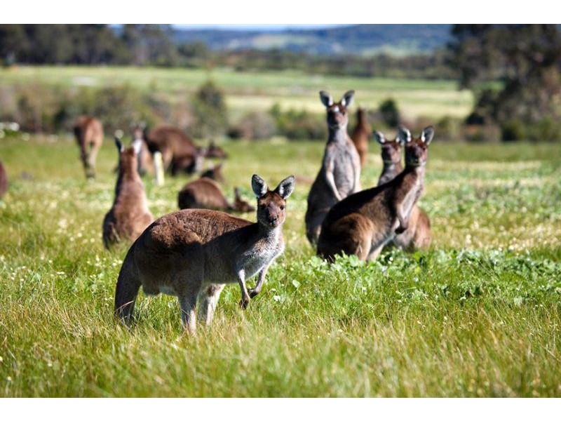 7/3220 Caves Road, Yallingup WA 6282