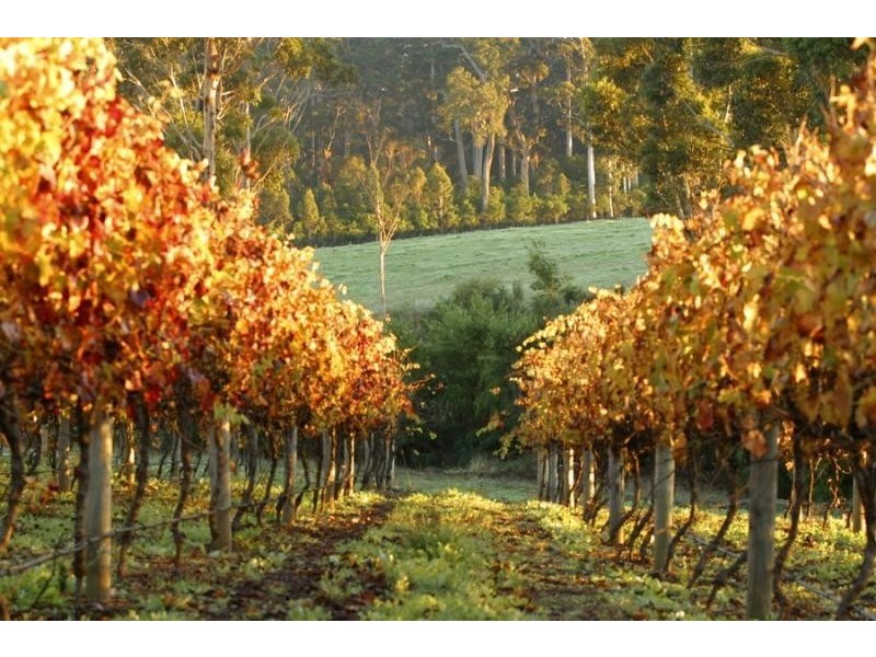 7/3220 Caves Road, Yallingup WA 6282