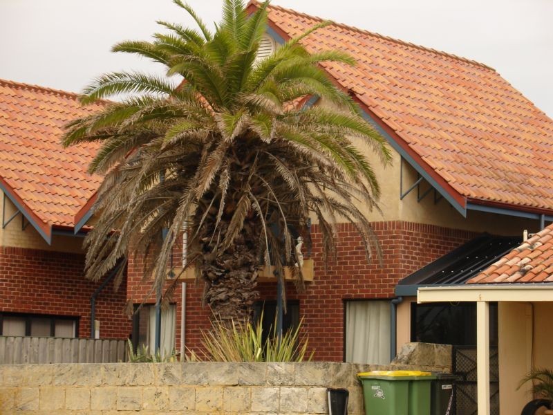 Lot 2, 1/12 Gale Street, Busselton WA 6280