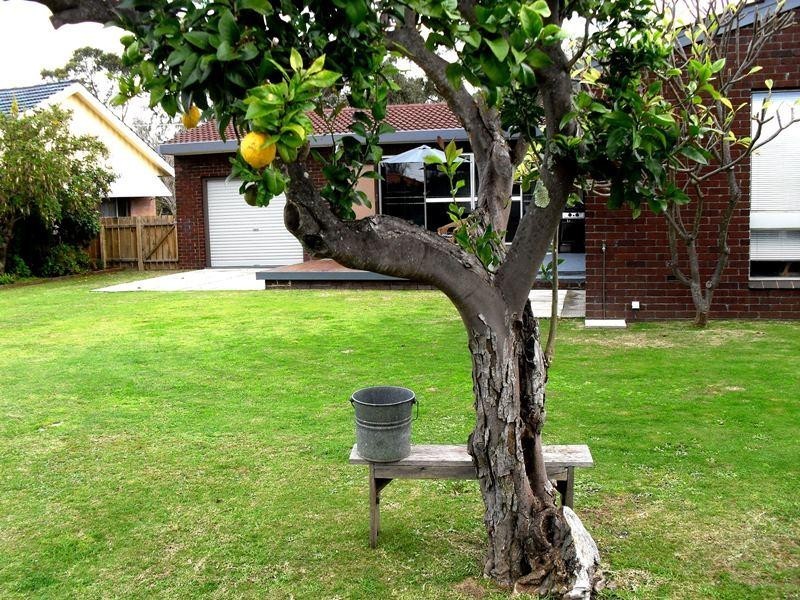 37 Southern Drive, Busselton WA 6280