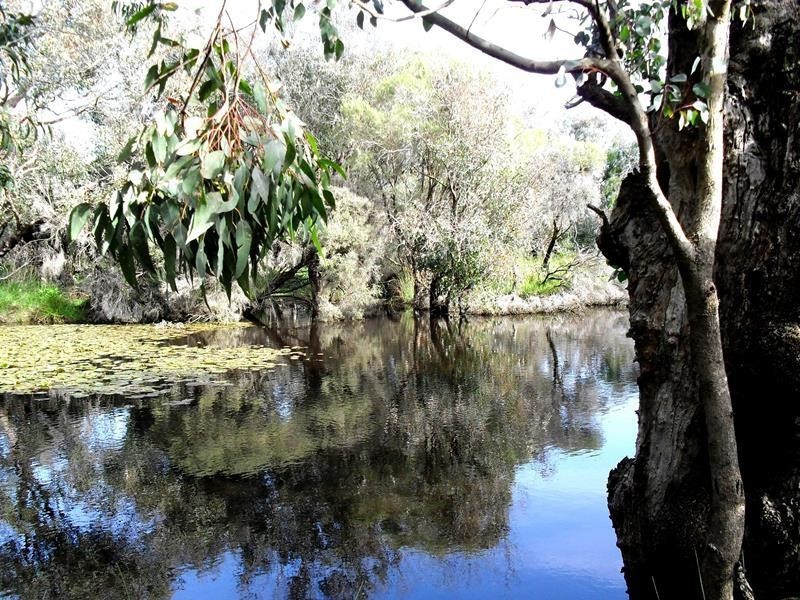 37 Southern Drive, Busselton WA 6280