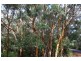 Deepdene WA 6290