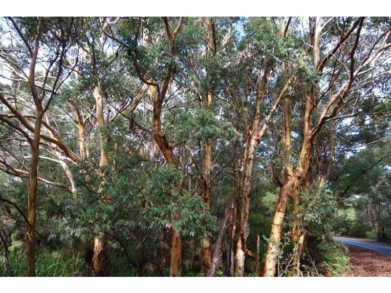 Deepdene WA 6290