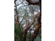 Deepdene WA 6290