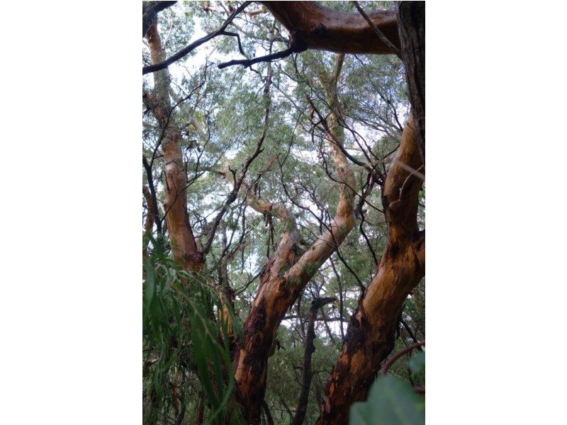 Deepdene WA 6290