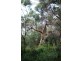 Deepdene WA 6290