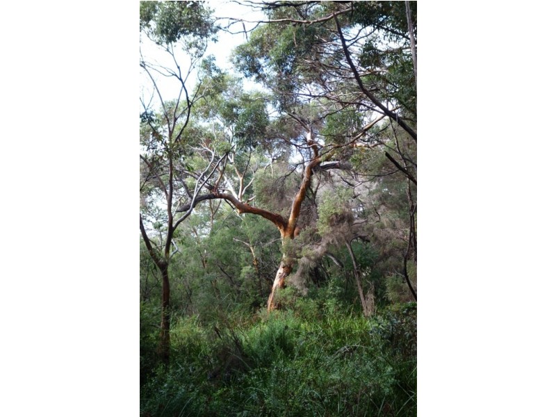 Deepdene WA 6290