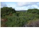 Deepdene WA 6290