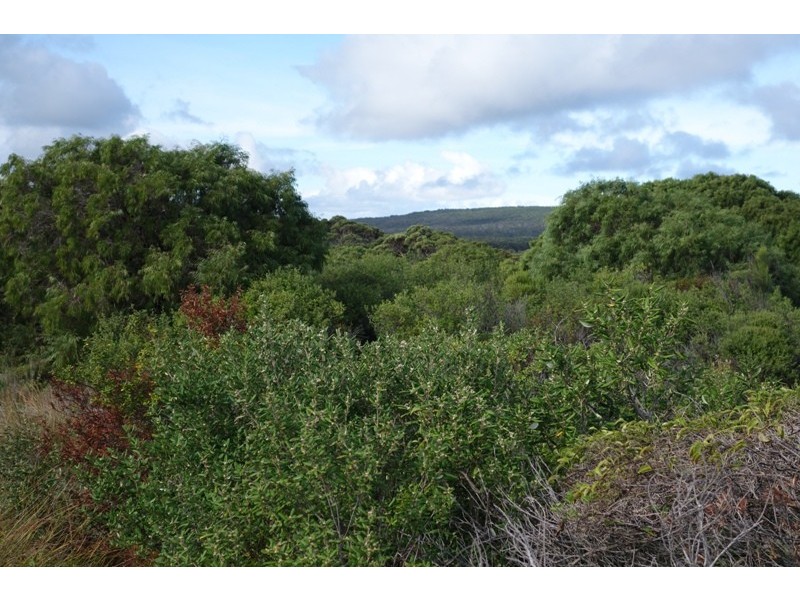 Deepdene WA 6290