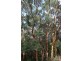 Deepdene WA 6290