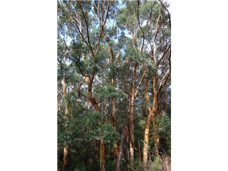 Deepdene WA 6290