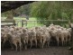 370 Edwards Road, Ambergate WA 6280
