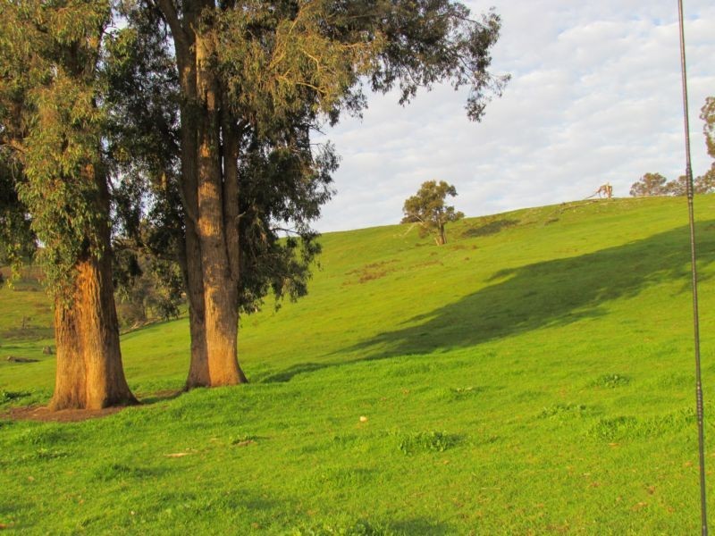 Brookhampton WA 6239