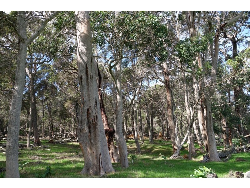 Wilyabrup WA 6280