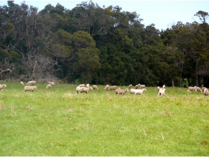 Lot Lots 1-16, 400 Puzey Road, Wilyabrup WA 6280