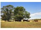 Lot 352, 11 Gairdner Road, Beelerup WA 6239