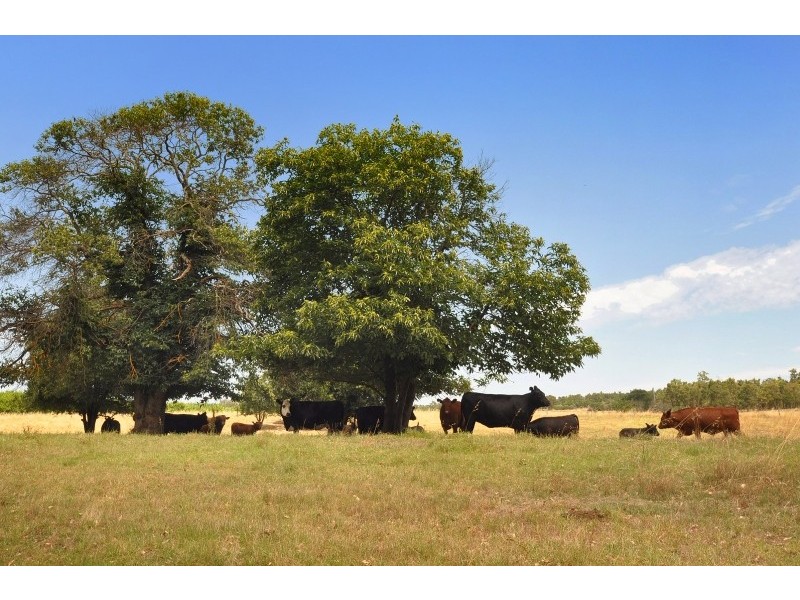 Lot 352, 11 Gairdner Road, Beelerup WA 6239
