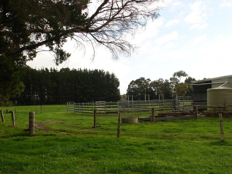 556 Chapman Hill Road, Ambergate WA 6280