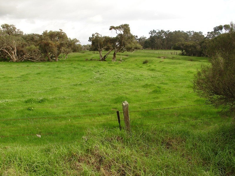 556 Chapman Hill Road, Ambergate WA 6280