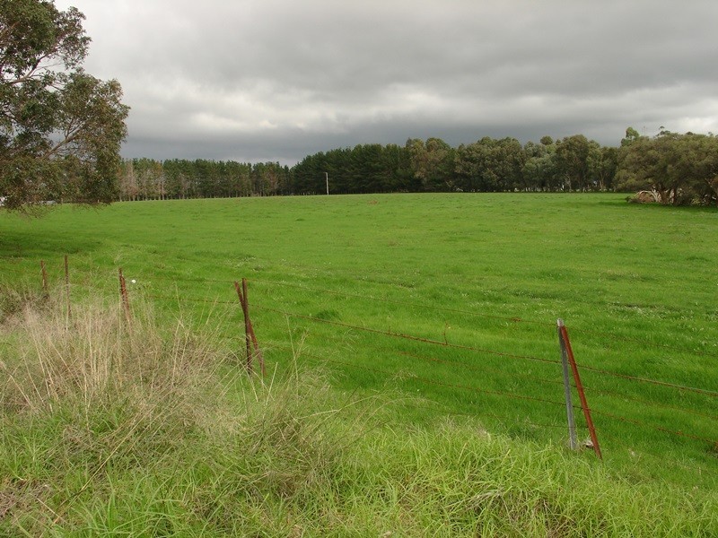 556 Chapman Hill Road, Ambergate WA 6280