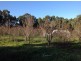Ambergate WA 6280
