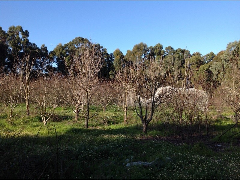 Ambergate WA 6280