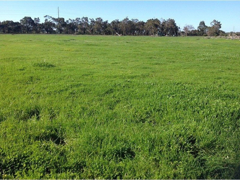 Ambergate WA 6280