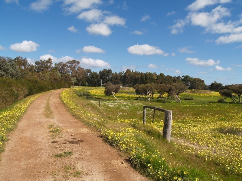 Ambergate WA 6280