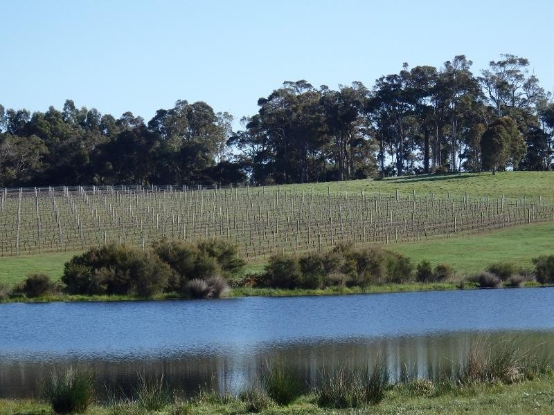 Forest Grove WA 6286