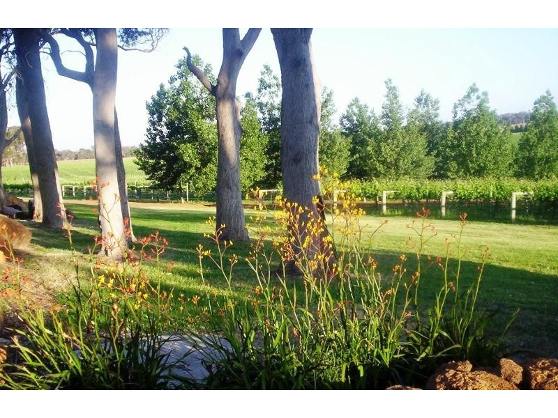 Forest Grove WA 6286