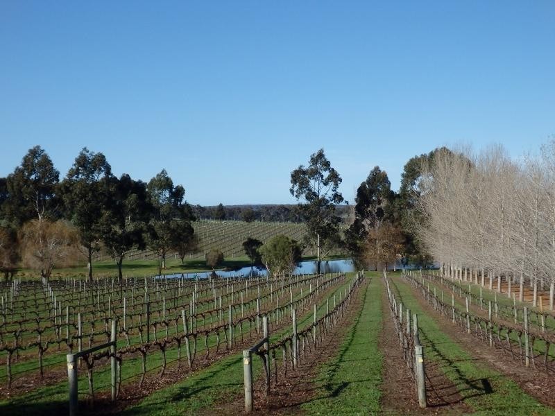 Forest Grove WA 6286