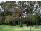 142 Dunsborough Lakes Drive, Dunsborough WA 6281