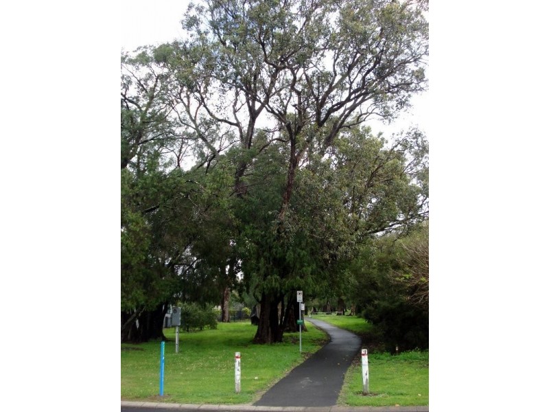 142 Dunsborough Lakes Drive, Dunsborough WA 6281