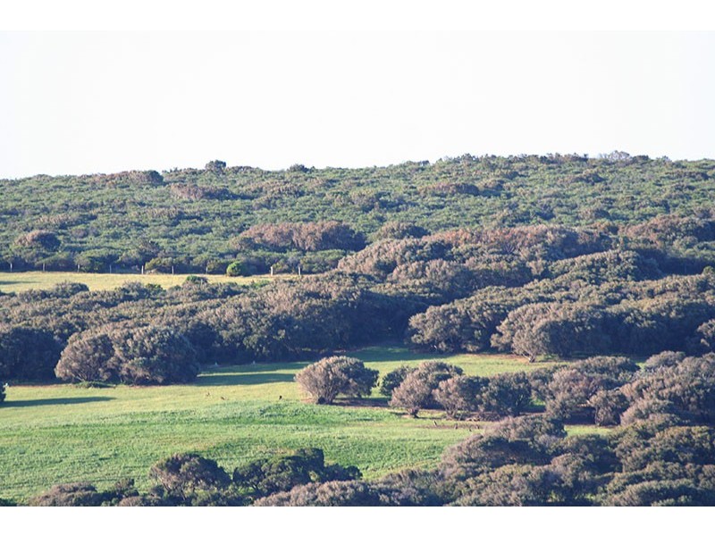 Lot 66 Sainsbury Loop, Yallingup WA 6282