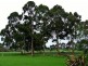 Rosa Brook WA 6285