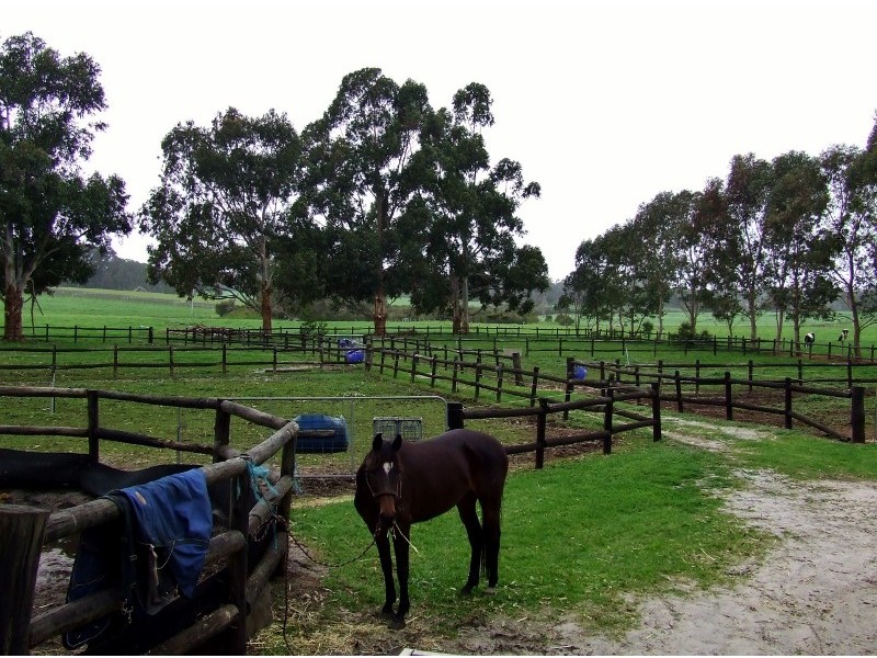 Rosa Brook WA 6285