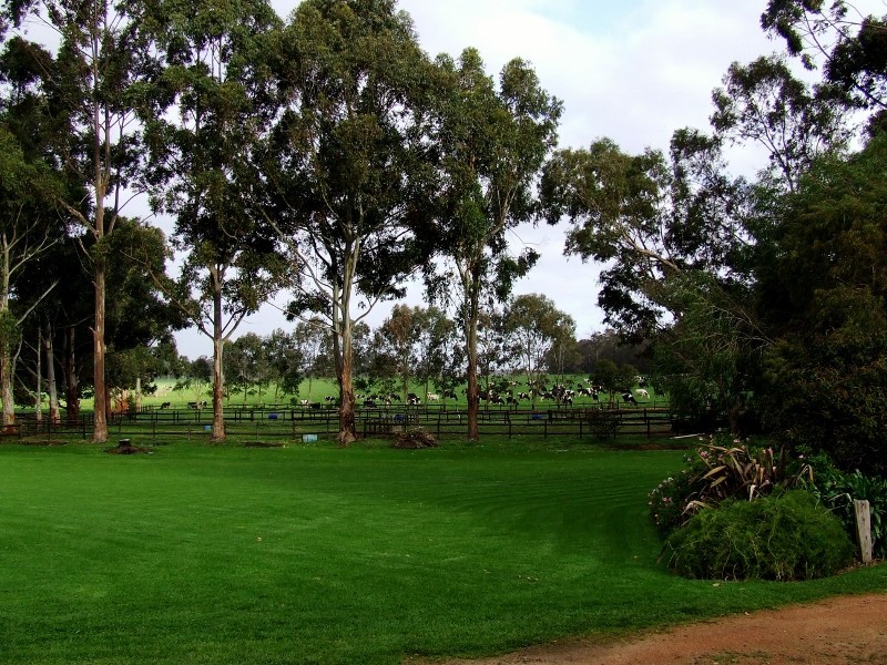 Rosa Brook WA 6285
