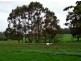 Rosa Brook WA 6285
