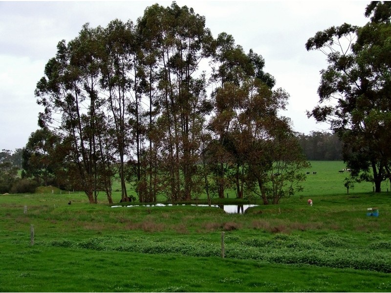 Rosa Brook WA 6285