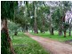 Rosa Brook WA 6285