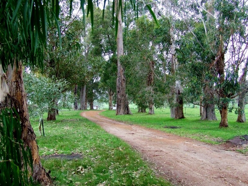 Rosa Brook WA 6285