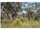 Lot 7 Yungarra Drive, Quedjinup WA 6281
